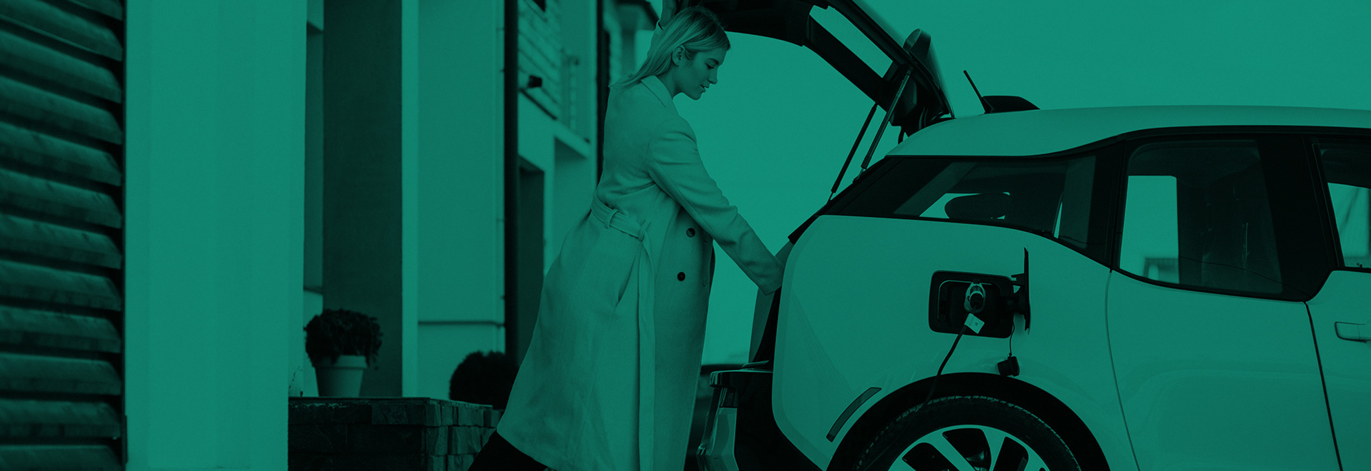 www.e-carsharing.net